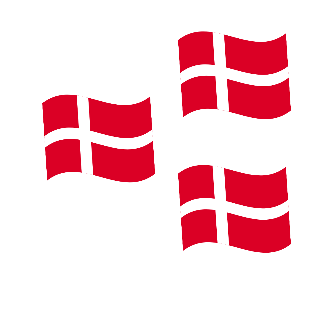 Åbningsfest flag